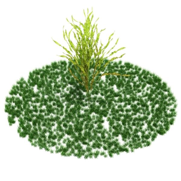 plant 3D Model